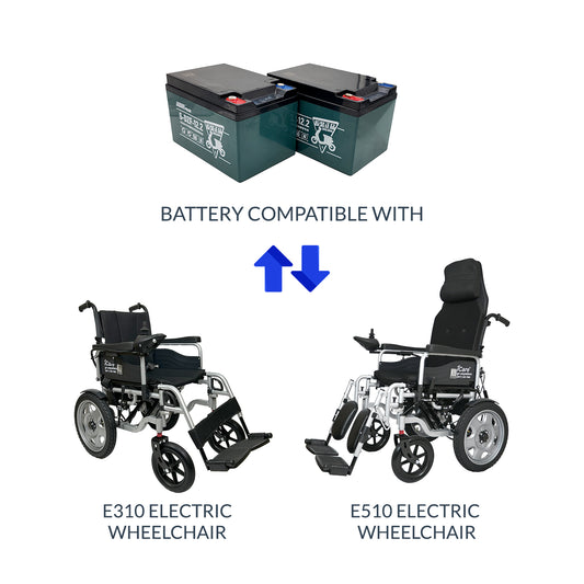 iCare Chilwee Wheelchair Lead Acid Battery Compatible with E310 & E510 with Case