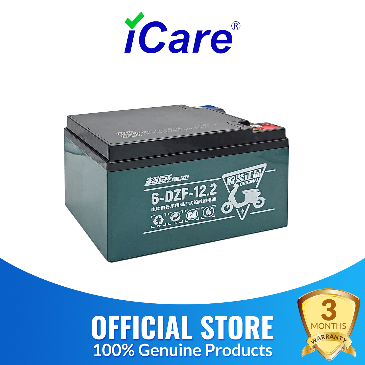 iCare Chilwee Wheelchair Lead Acid Battery Compatible with E310 & E510